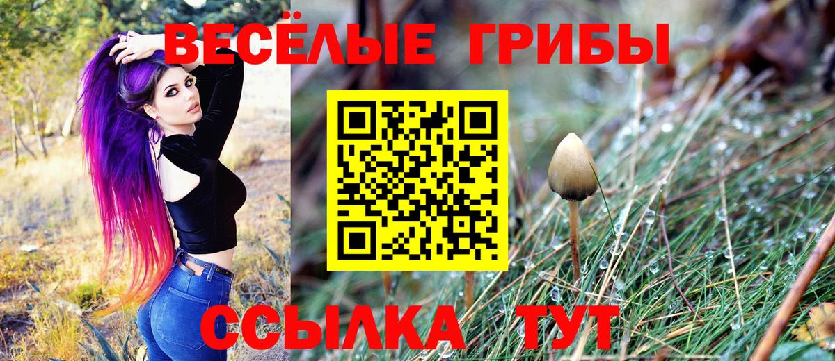 Галлюциногенные грибы мицелий  Вход с VPN  Верхний Уфалей  Псилоцибиновые грибы Psilocybine cubensis 