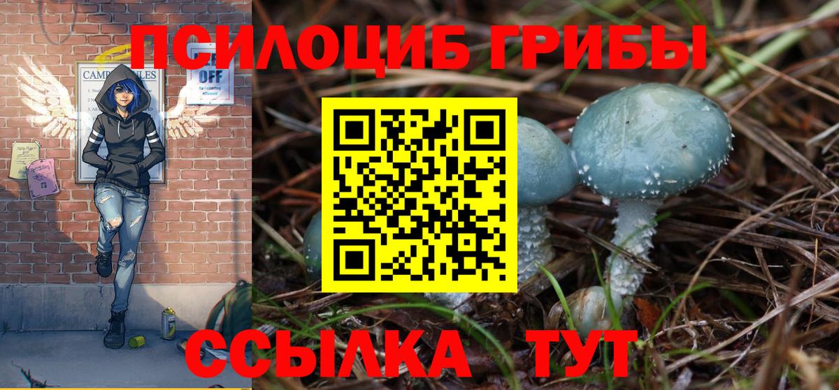 Галлюциногенные грибы мицелий Верхний Уфалей